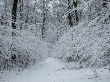 01 Deister im Schnee