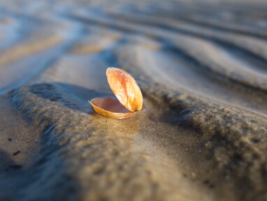 02 Wattenmeer Cuxhaven
