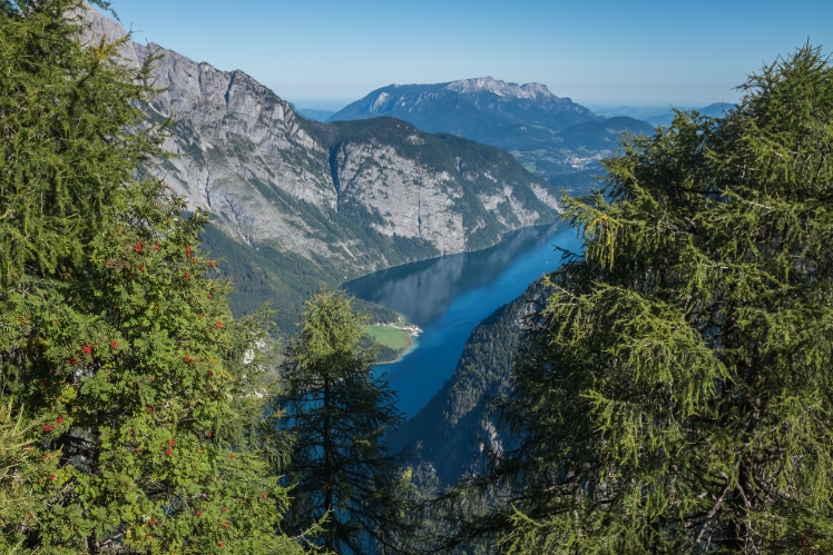 Königssee vom Halsköpfl