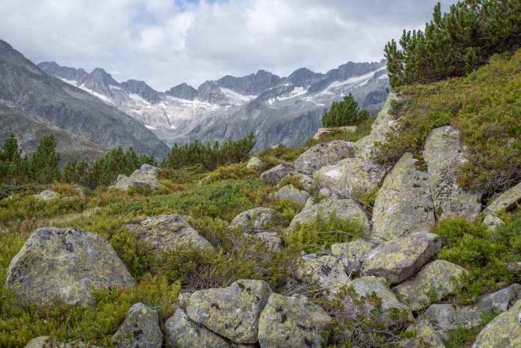 Aufstieg im Rainbachtal zur Rainbachscharte