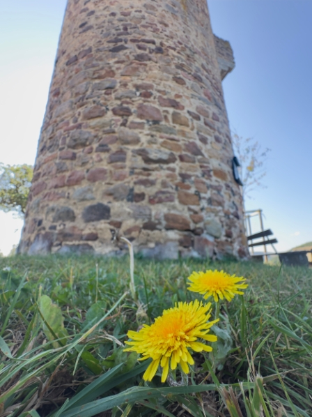 IMG_4066 Wartturm Lüdermünder Warte