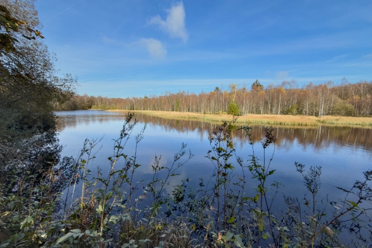 IMG_5743 Moorsee im Roten Moor