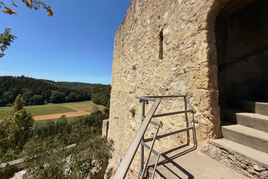 IMG_5846 Burg Derneck