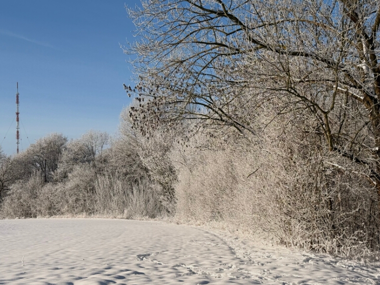 01 Winterwanderung Döhren-Wettbergen